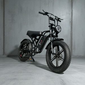 Электровелосипед KM-E2 1000W 48V 19A