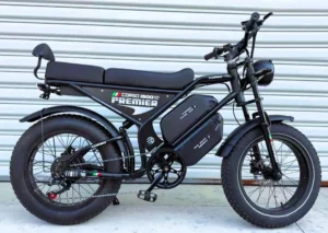 Электрофетбайк Corso «Premier» 20″ дюймов PR-96150 (1) рама стальная, двигатель 1500W, 2 аккумулятора 2х48V18AH, в коробке